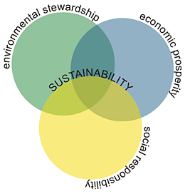 Figure 1. Environ, Social, Economic triangle