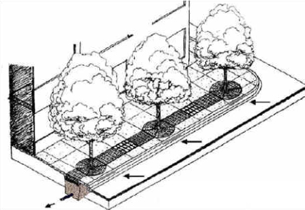 Illustrtion of Tree Box Filters